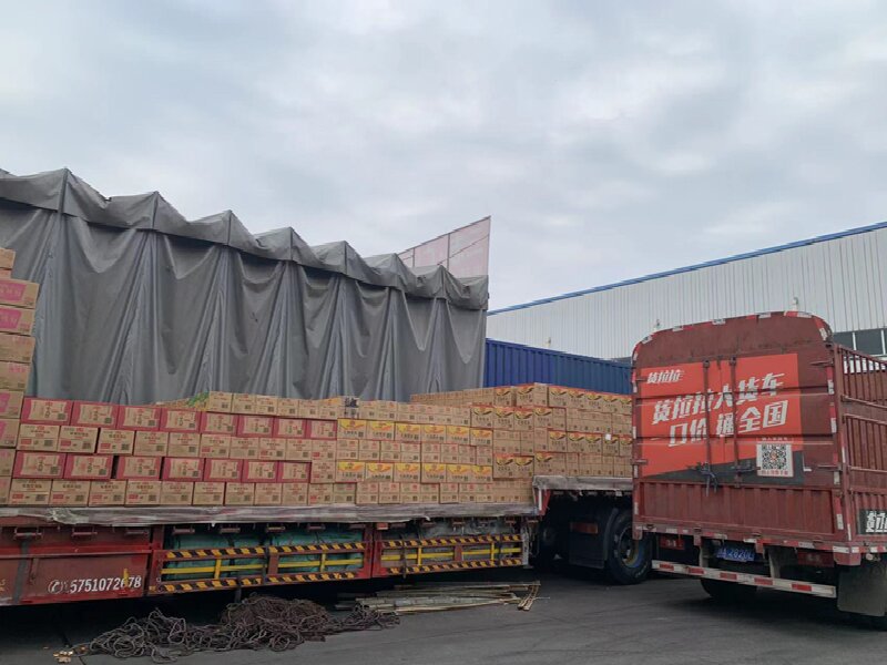 成都至天峻物流公司