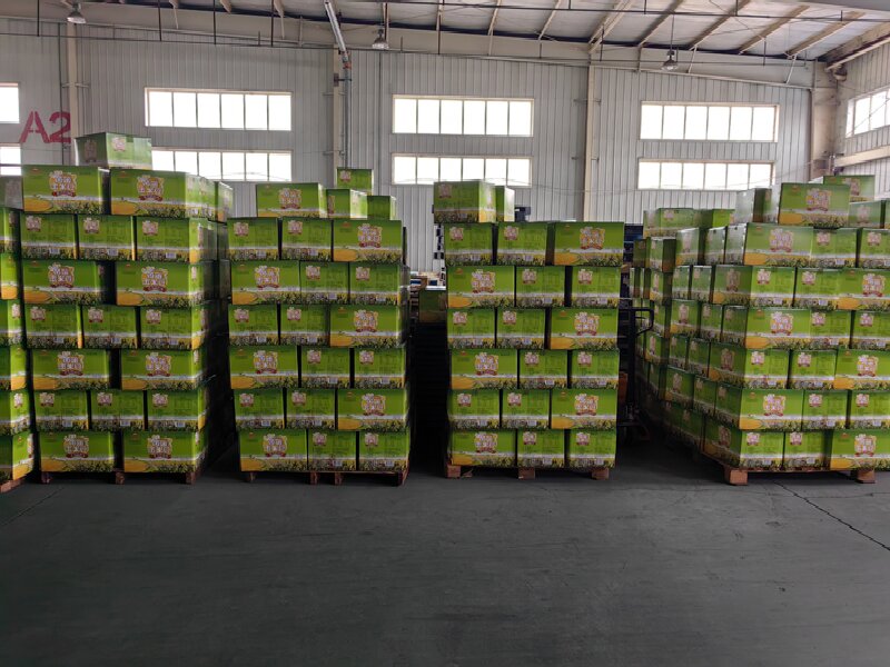 成都到普安物流公司