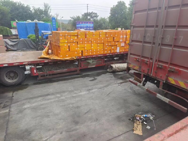 成都到信宜物流公司