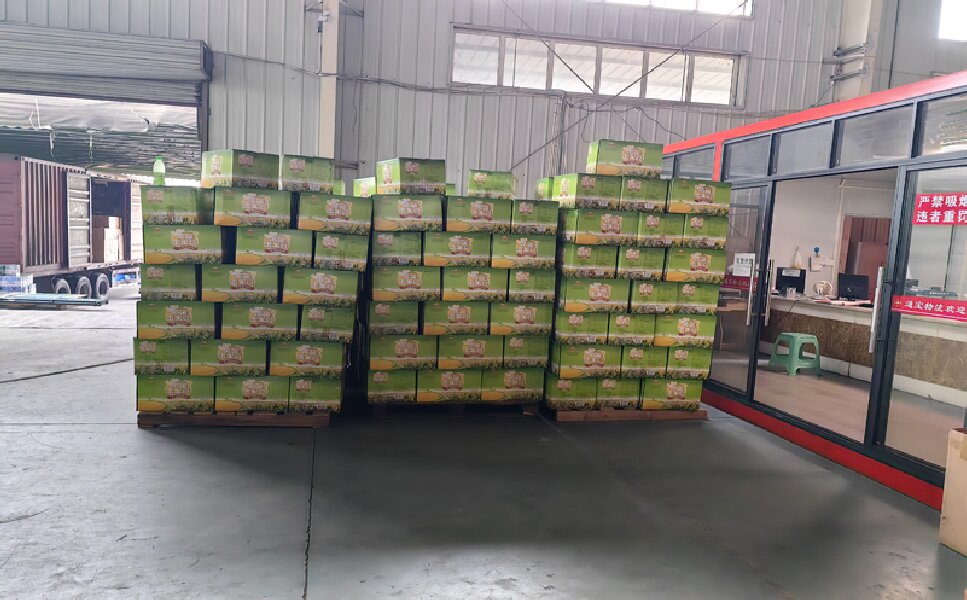 眉山到黎城貨運公司